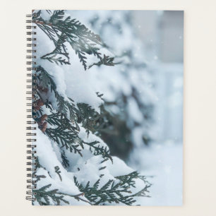Weihnachten 95 planer