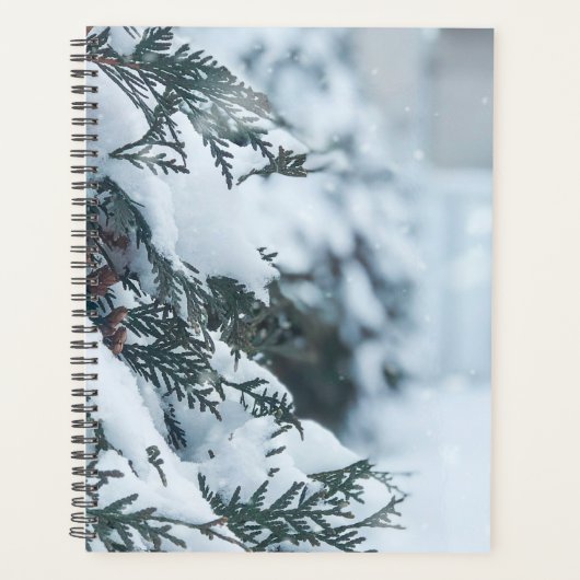 Weihnachten 95 planer (Vorderseite)