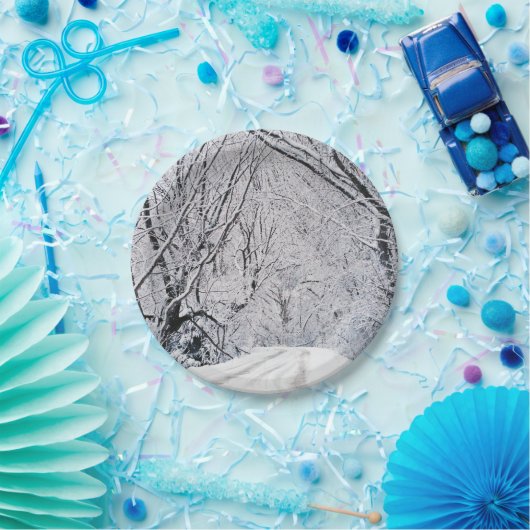 Weihnachten 96 pappteller (Party)