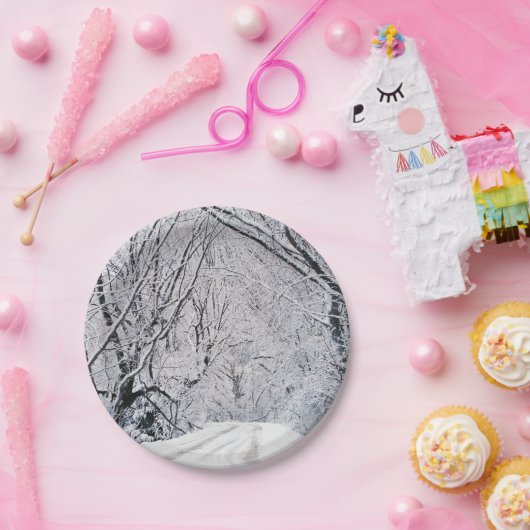 Weihnachten 96 pappteller (Party)