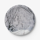 Weihnachten 96 pappteller (Vorderseite)