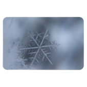 Weihnachten 97 magnet (Horizontal)