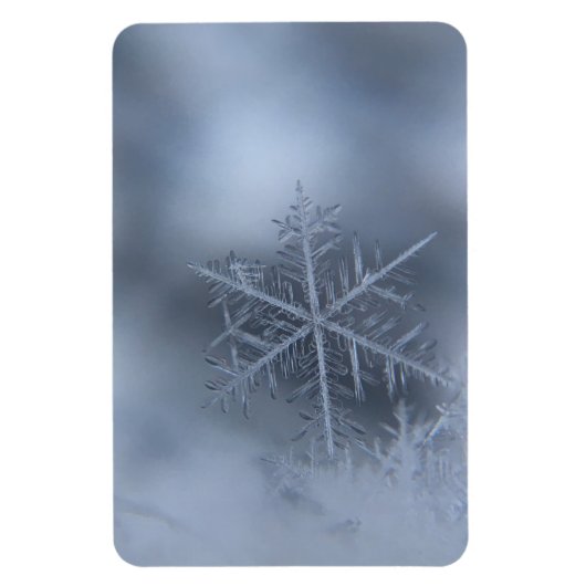 Weihnachten 97 magnet (Vertikal)