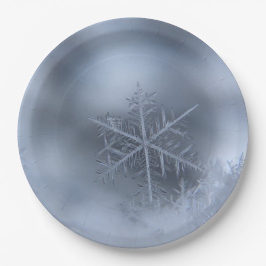 Weihnachten 97 pappteller (Vorderseite)