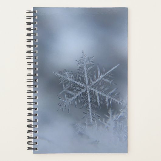 Weihnachten 97 planer (Vorderseite)