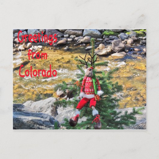 "Weihnachten abschütteln" Postkarten (Vorderseite)