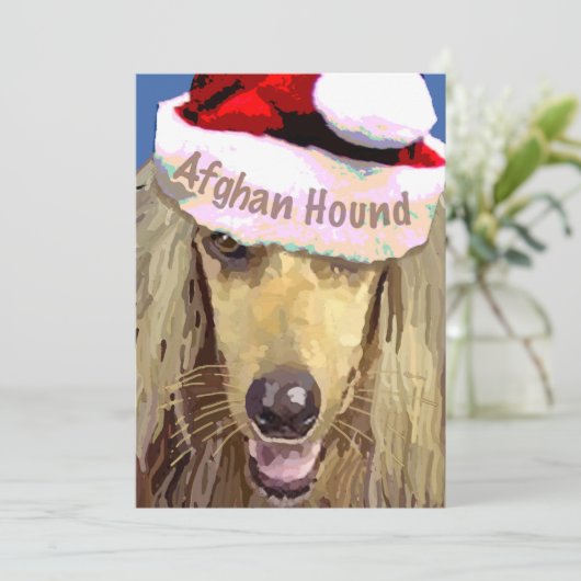 Weihnachten Afghanischer Hund 10 Kilogramm (Stehend Vorderseite)