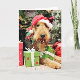 Weihnachten - Airedale - Kiehn