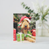Weihnachten - Airedale - Kiehn (Stehend Vorderseite)