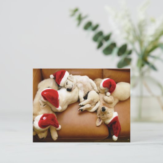 Weihnachten als Hund (Stehend Vorderseite)