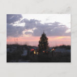 Weihnachten am indischen Felsen-Strand, Florida<br><div class="desc">Foto genommen von Patricia Merewether</div>