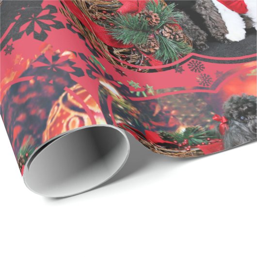 Weihnachten - Amiche Pudel - Tinkerbell maltesisch Geschenkpapier (Rolleneckpunkt)