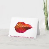 Weihnachten an der Bucht (Rückseite)