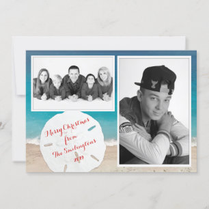 Weihnachten an der Küste Foto Sand Dollar