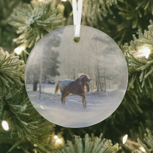 Weihnachten Appaloosa Pferd im Schnee Ornament Aus Glas