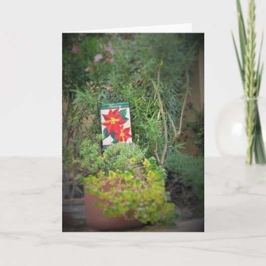 Weihnachten Arizona Stil! (Vorderseite)