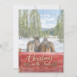 Weihnachten auf dem Trail Reitsport-Winterurlaub