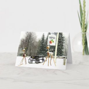 Weihnachten auf der Brookdale Fruchtfarm in Hollis