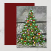 Weihnachten auf der Ranch (Vorne/Hinten)