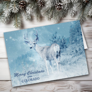 Weihnachten aus Colorado-Hirsch-Weihnachtskarte