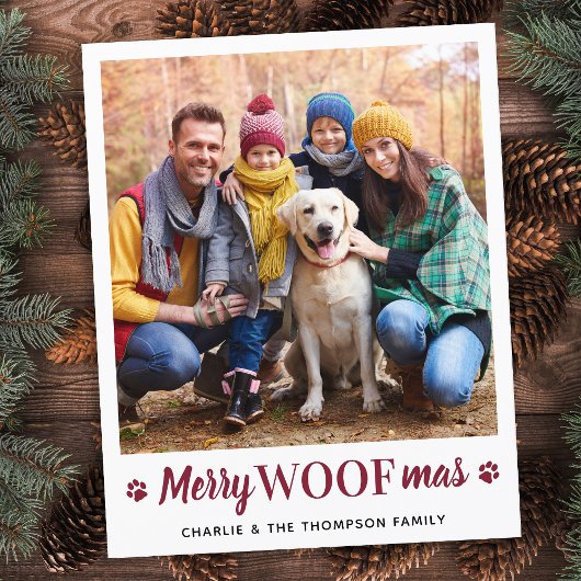 Weihnachten aus dem einfachen Foto für Haustiere