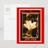 Weihnachten aus Dixie (Vorne/Hinten)