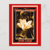 Weihnachten aus Dixie (Vorderseite)