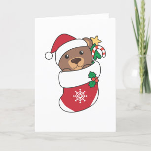 Weihnachten Bär Schnee Winter Tiere Bären