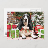 Weihnachten - Basset Hound - Jasmine (Vorne/Hinten)