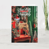 Weihnachten Belgisch Malinois Dog Naughty oder Niz (Vorderseite)