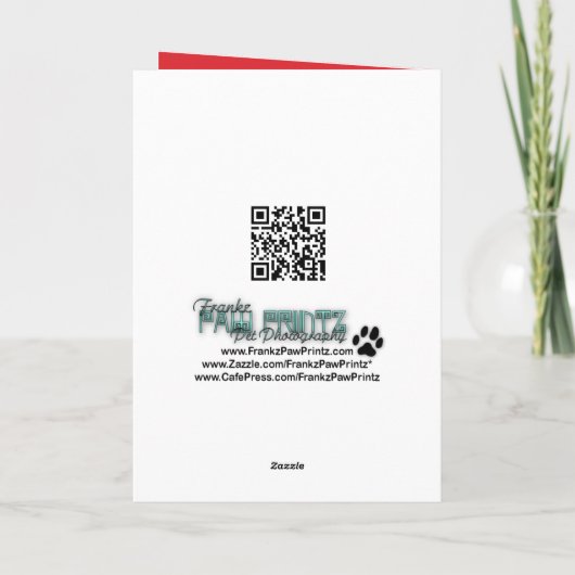 Weihnachten - bengalische Katze - Jack (Rückseite)