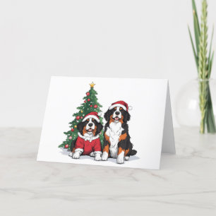 Weihnachten Berner Hunde