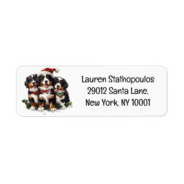 Weihnachten Berner Hunde