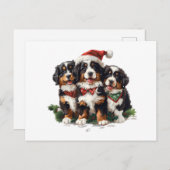Weihnachten Berner Hunde (Vorne/Hinten)