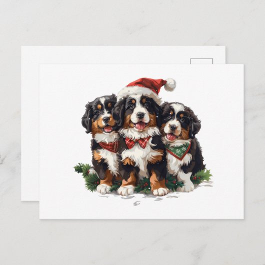 Weihnachten Berner Hunde (Vorne/Hinten)