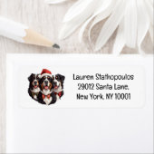 Weihnachten Berner Hunde (Insitu)