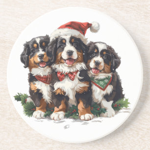 Weihnachten Berner Hunde Getränkeuntersetzer