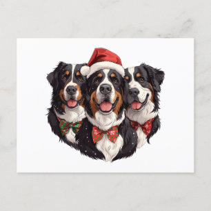 Weihnachten Berner Hunde Postkarte