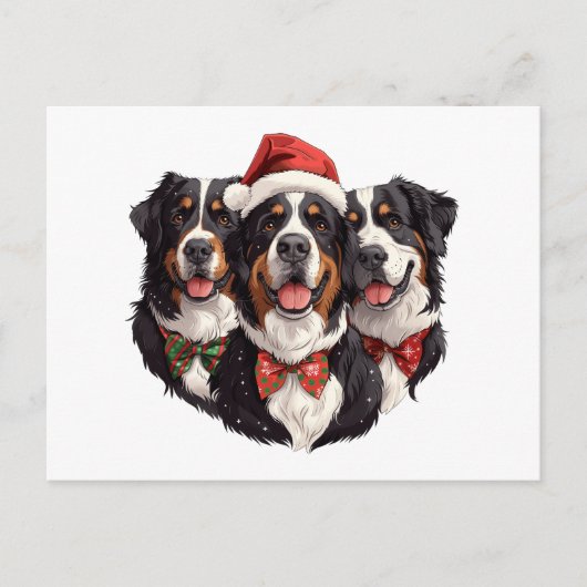 Weihnachten Berner Hunde Postkarte (Vorderseite)
