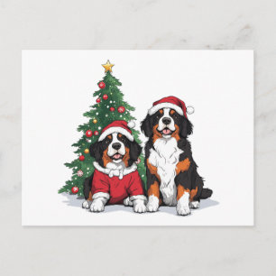 Weihnachten Berner Hunde Postkarte