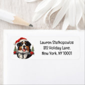 Weihnachten Bernese Mountain Dog Biking (Insitu)