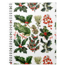 Weihnachten Berries Holly Verlasse. Weihnachtsberr