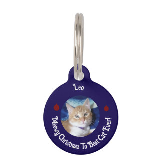 Weihnachten, Beste Katze Aller Zeiten , Katzenfoto Haustiermarke