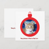 Weihnachten, beste Katzenmutter überhaupt, Flachka (Vorne/Hinten)