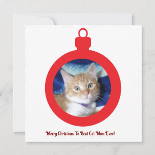 Weihnachten, beste Katzenmutter überhaupt, Flachka