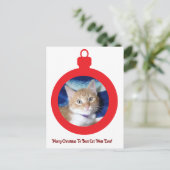 Weihnachten, beste Katzenmutter überhaupt , Postkarte (Stehend Vorderseite)