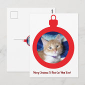 Weihnachten, beste Katzenmutter überhaupt , Postkarte (Vorne/Hinten)