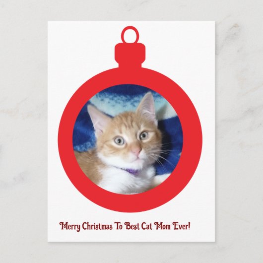 Weihnachten, beste Katzenmutter überhaupt , Postkarte (Vorderseite)