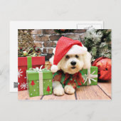 Weihnachten - Bichon Frise - Daisy (Vorne/Hinten)