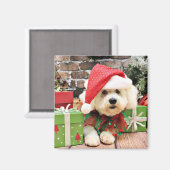 Weihnachten - Bichon Frise - Daisy Magnet (Vorderseite/Rückseite)